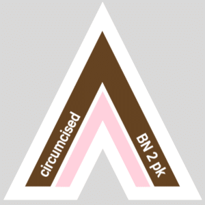 Fetish Vector Arrow for circumcised | BROWN 2 pink