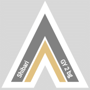 Fetish Vector Arrow for Shibari  | GRAY 2 beige