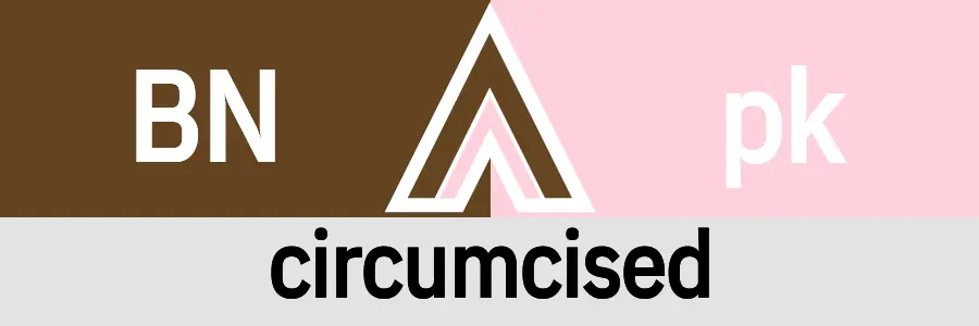 Fetish Vector Hanky Code Arrow for circumcised fetish / BROWN 2 pink