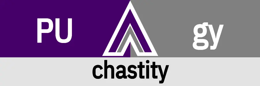 Fetish Vector Hanky Code Arrow for chastity fetish / PURPLE 2 gray