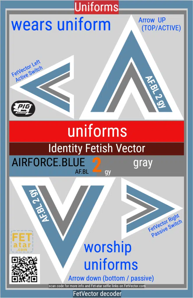 FetVector Poster for Fetish Vector uniforms / airforce.BLUE 2 gray